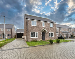 Photo 13- click for photo gallery